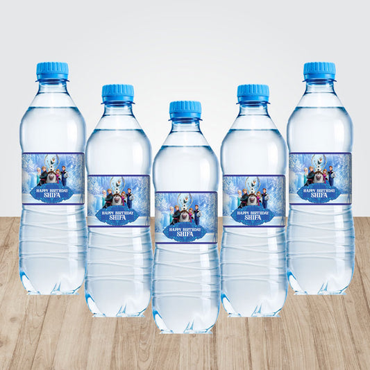 Frozen Theme Water Bottle Sticker