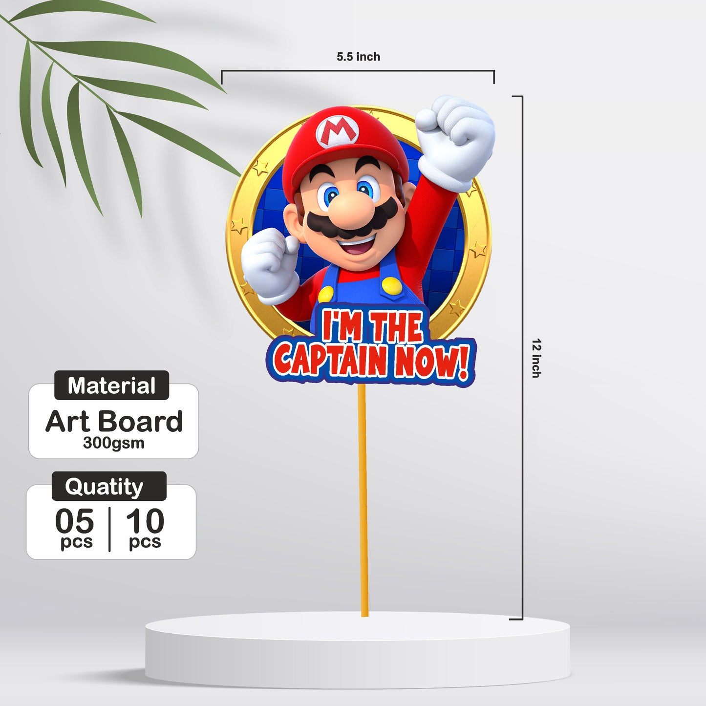 Super Mario Birthday Theme Props
