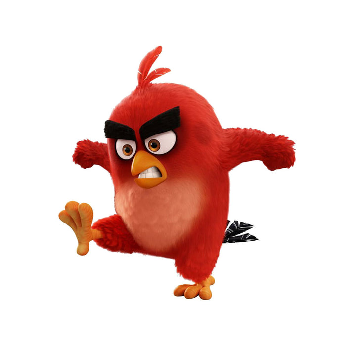 Angry Birds Theme Cutout - BP 03