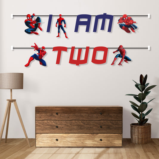 Spiderman Theme Age Bunting