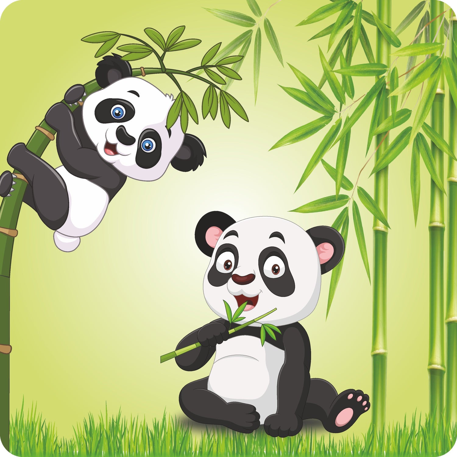 Cute Panda