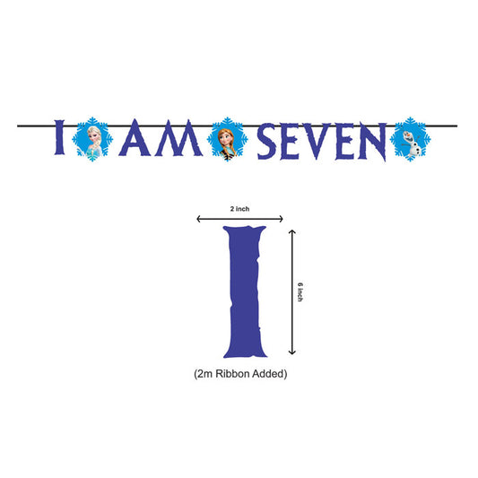 Frozen Theme Age Bunting
