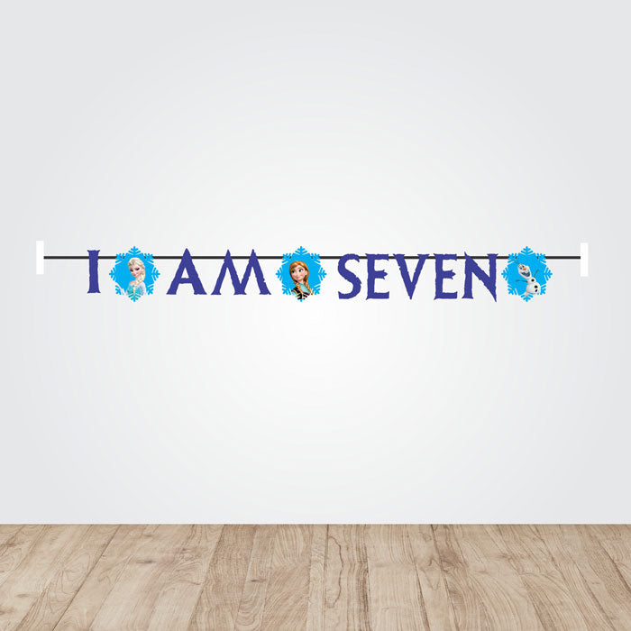 Frozen Theme Age Bunting