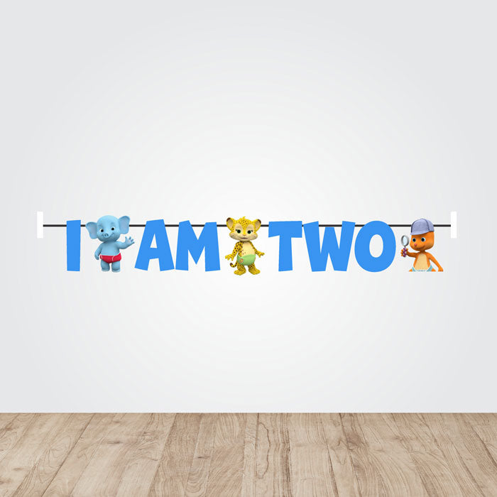 Word Party Theme Age Bunting