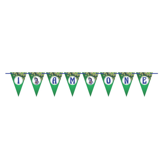 Little Krishna Theme Age Bunting