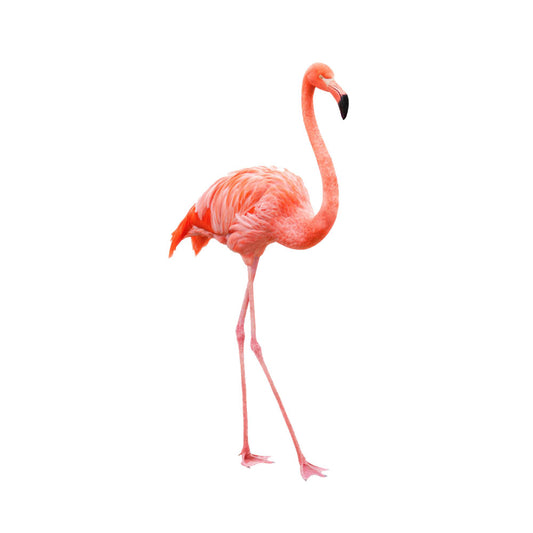 Flamingo Theme Cutout - BP 03