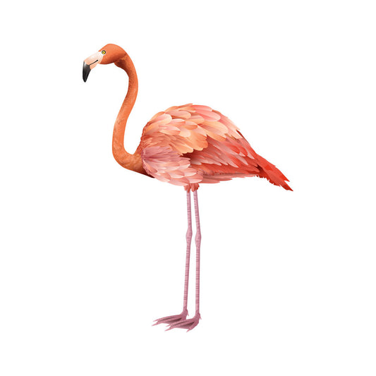 Flamingo Theme Cutout - BP 07