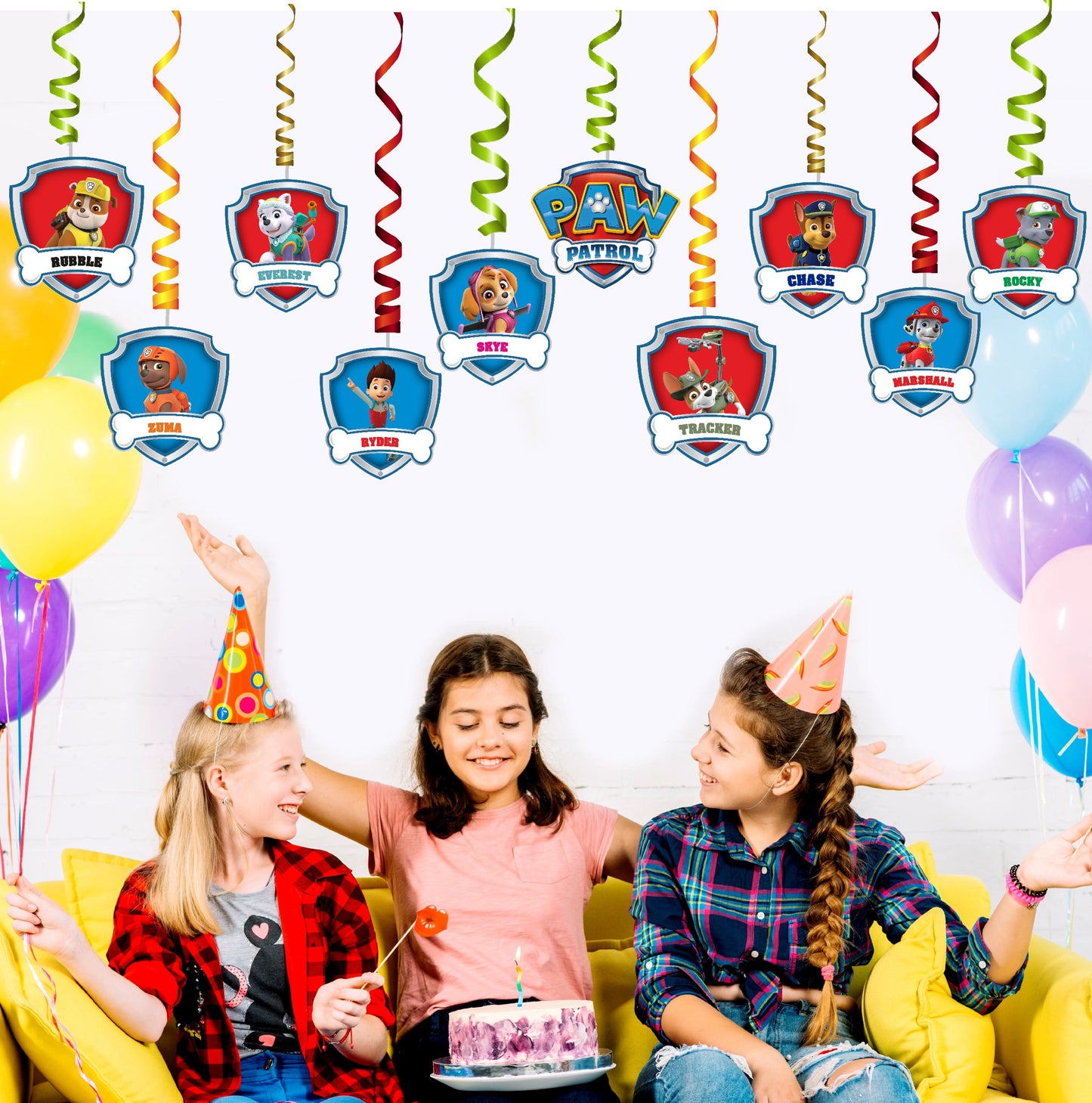 Paw Patrol Theme Classic Swirls