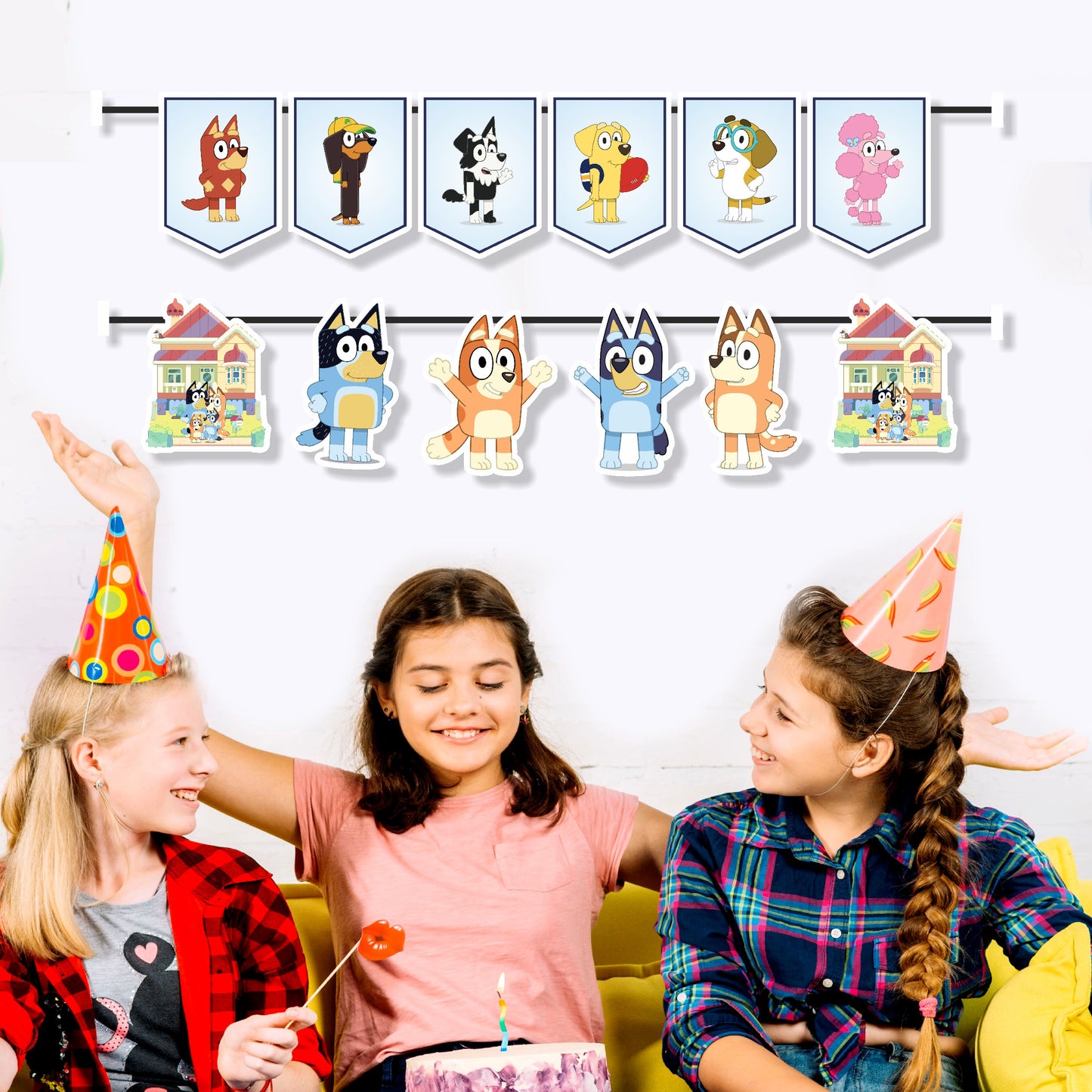 Bluey birthday party character bunting with Bluey, Bingo, Bandit and Chilli flags — birthday banner party decoration for kids birthday party – BluParty India