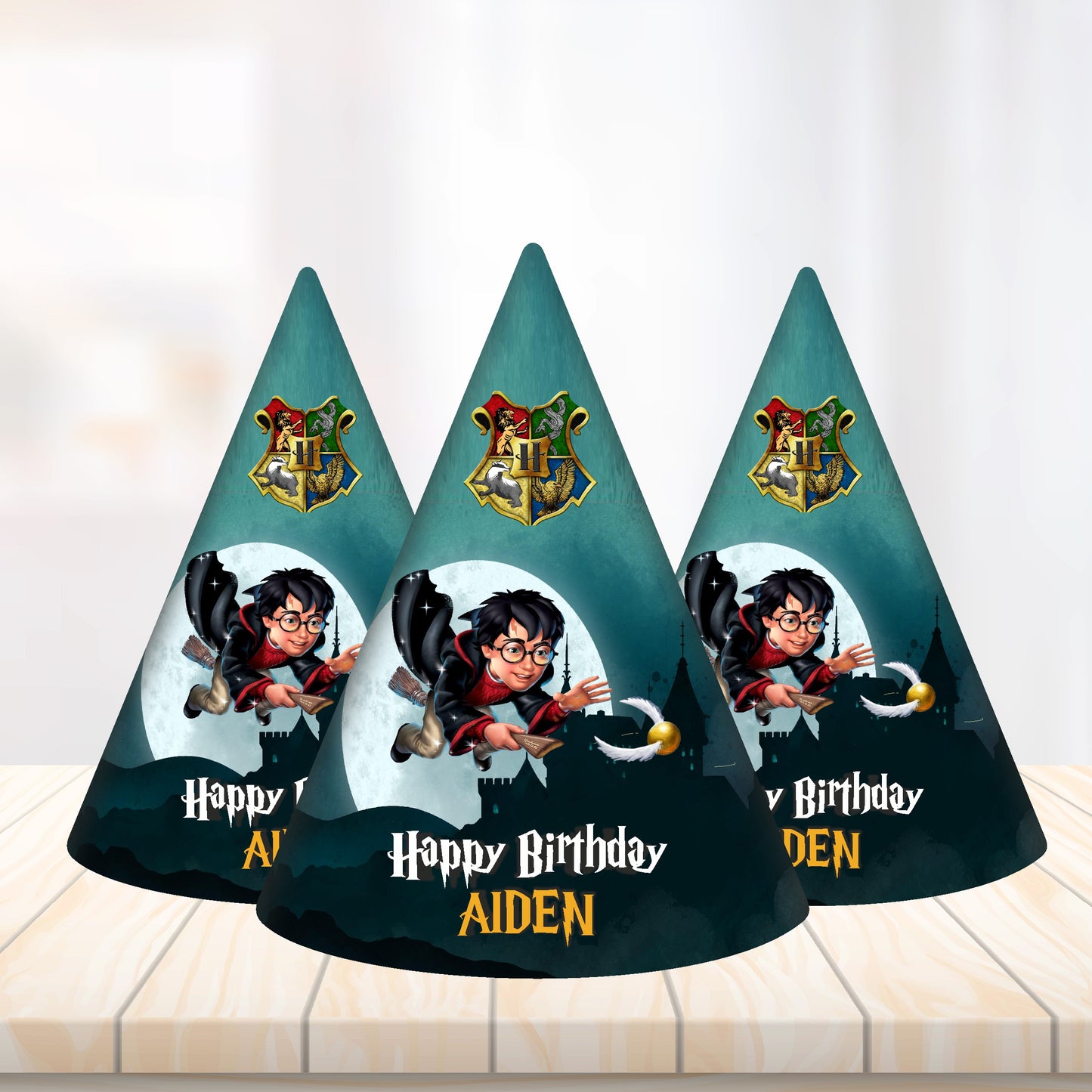 Harry Potter Theme Hat