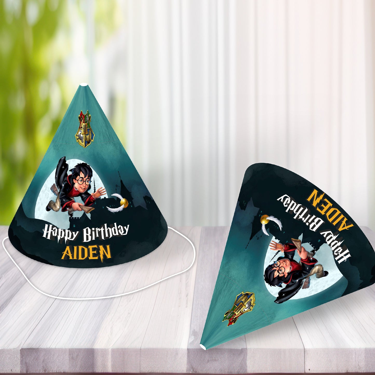 Harry Potter Theme Hat