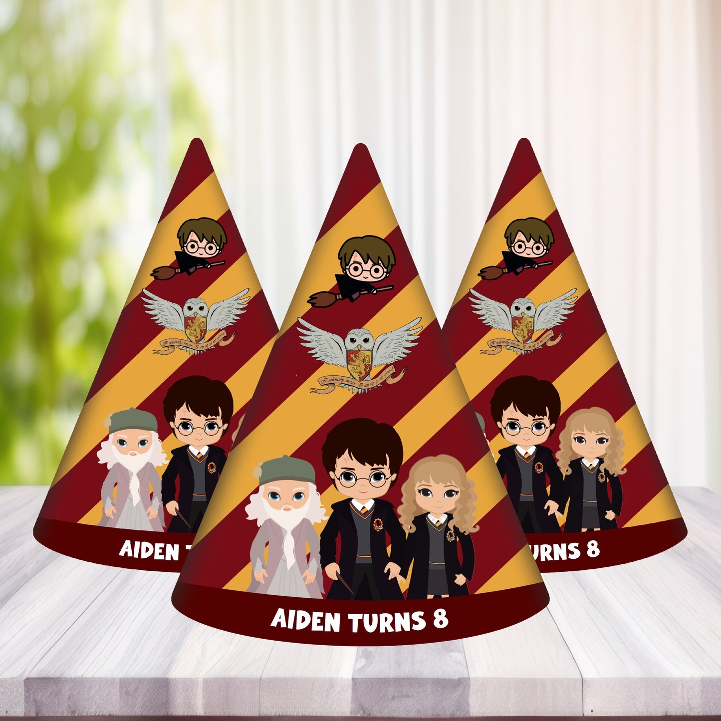 Harry Potter Theme Personalized Hat