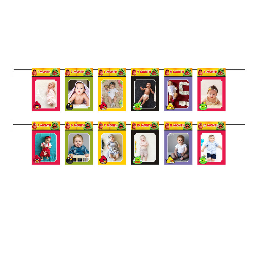 Angry Birds Theme 12 Months Bunting