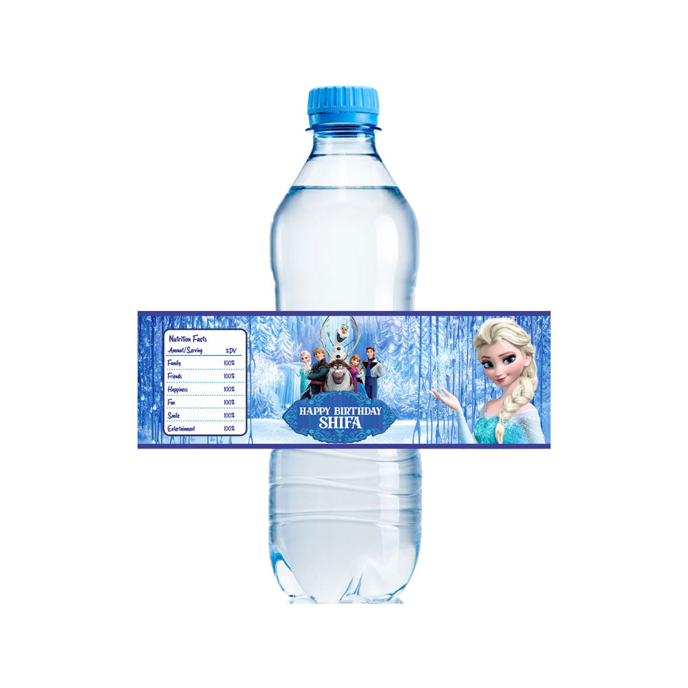 Frozen Theme Water Bottle Sticker