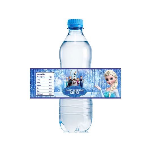 Frozen Theme Water Bottle Sticker
