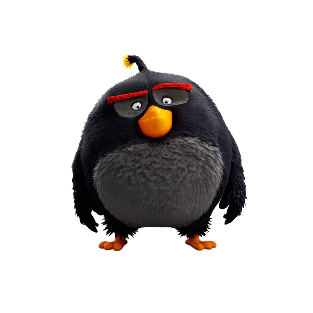 Angry Birds Theme Cutout - BP 04
