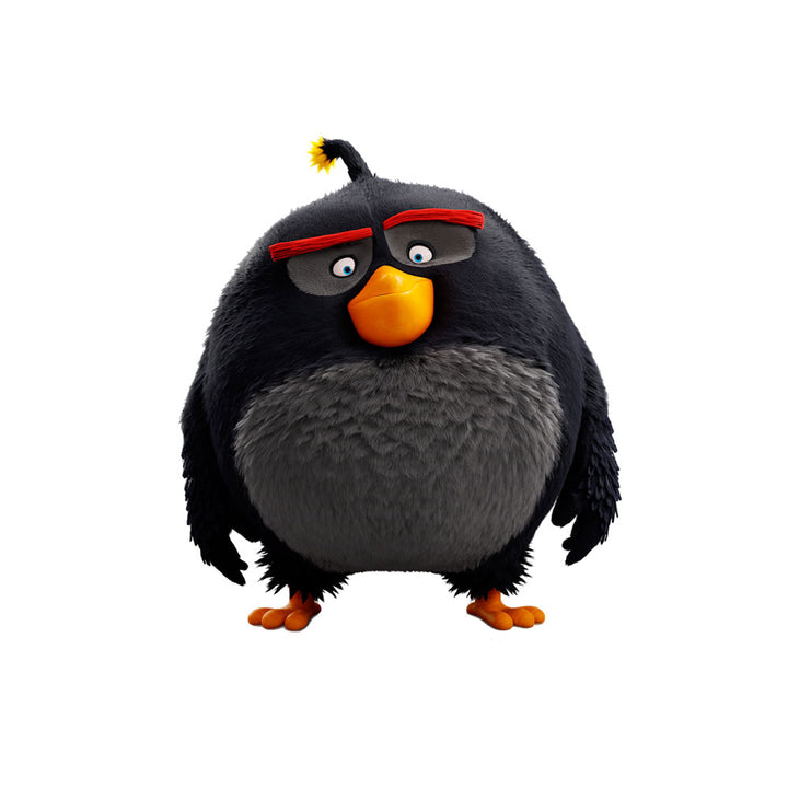 Angry Birds Theme Cutout - BP 04