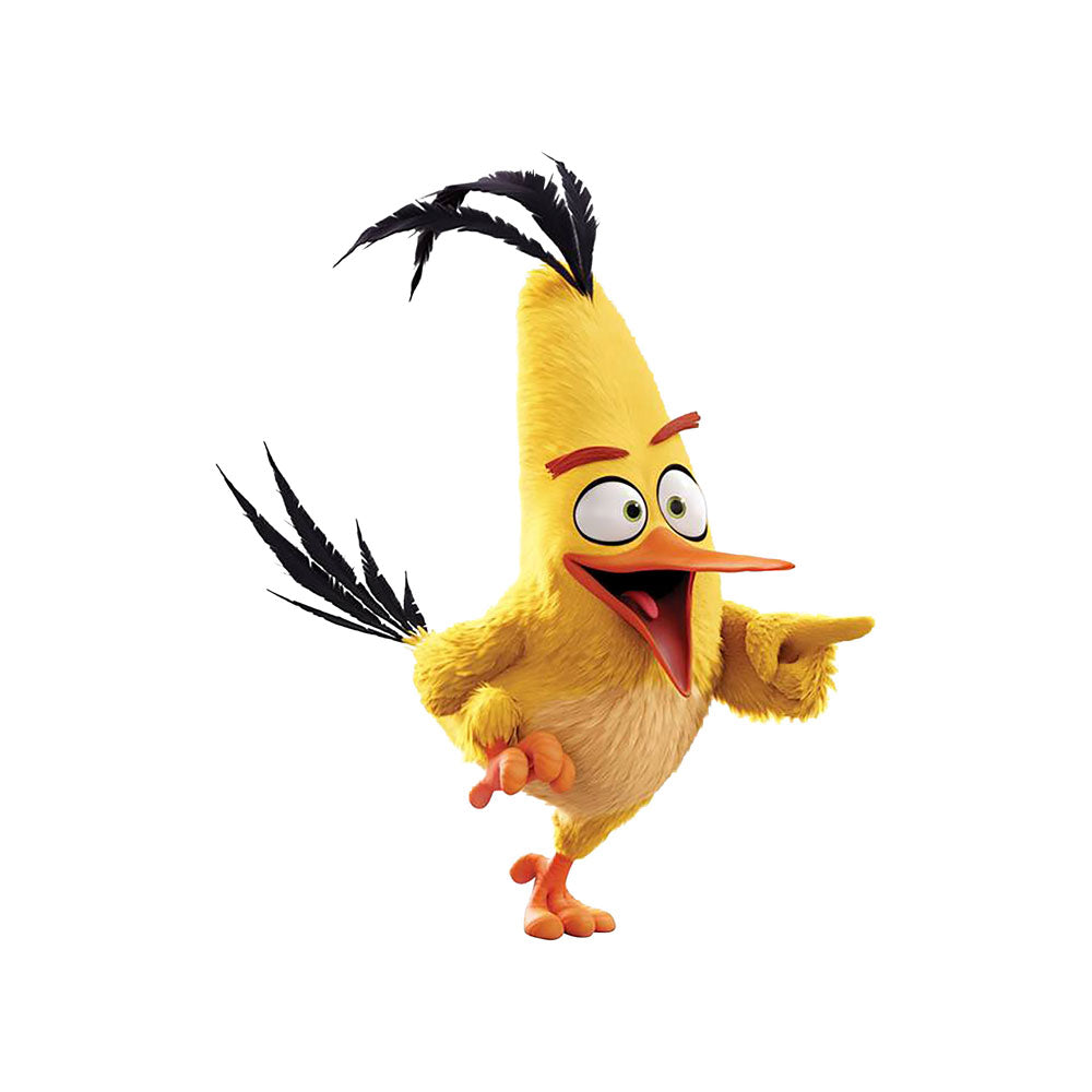 Angry Birds Theme Cutout - BP 05