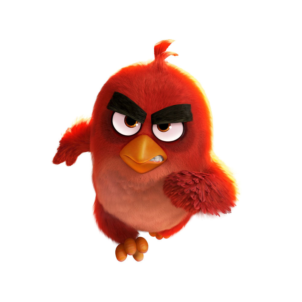 Angry Birds Theme Cutout - BP 06